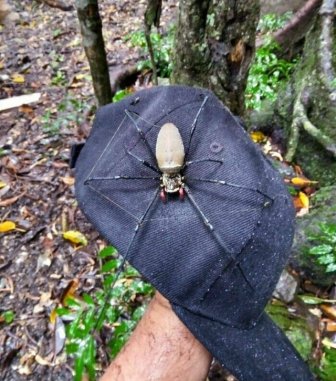 Creepy Finds In Australia