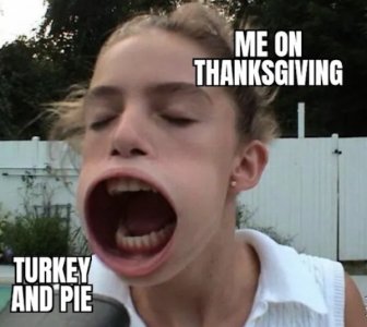 Thanksgiving Memes