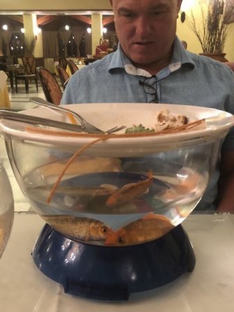 Weird Food Serving