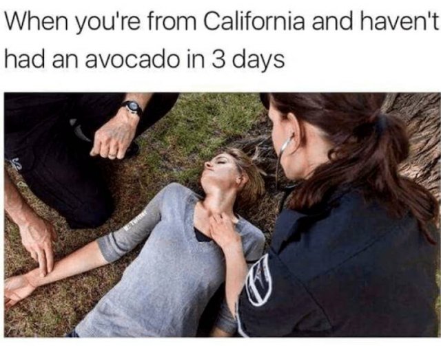 Funny Memes About Different States