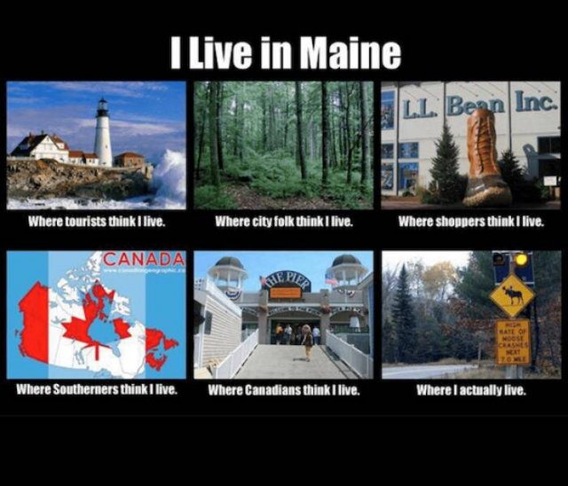 Funny Memes About Different States