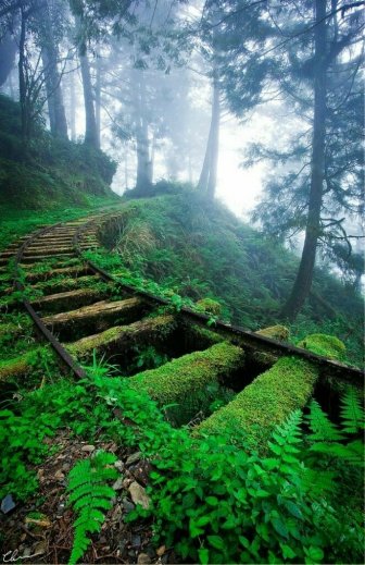 Beautiful Abandoned Railways