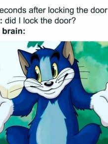Memes About The Brain
