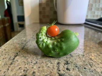 Miniature Harvest