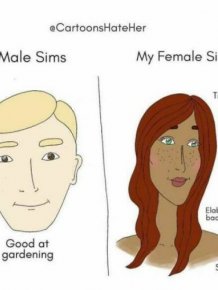 Memes For ''The Sims'' Fans