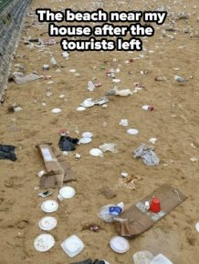Terrible Tourists