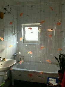 Weird Bathrooms