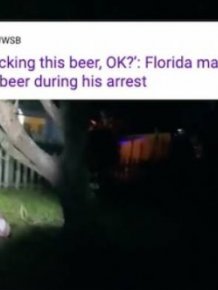 Strange Headlines From Florida