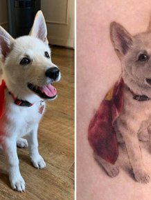 Tattoos For Pet Lovers