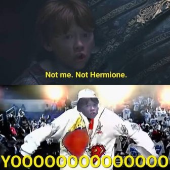 Memes For ''Harry Potter'' Fans