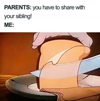 Memes About Siblings