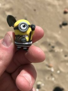 Unusual Finds On The Beaches