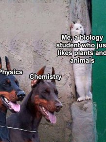 Science Memes