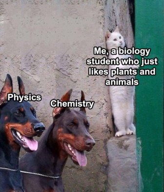 Science Memes