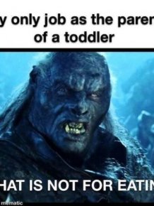 Memes For ''The Lord Of The Rings Fans''