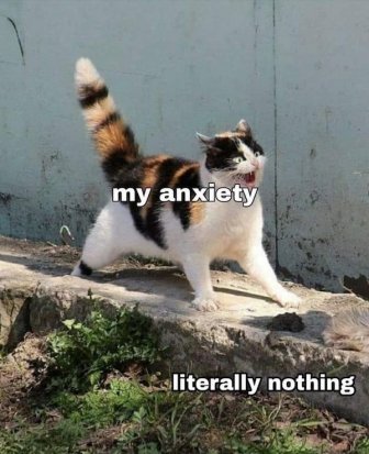 Jokes For Cat Lovers