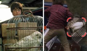 Mistakes In Popular Movies