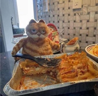 What Is Going On Here?