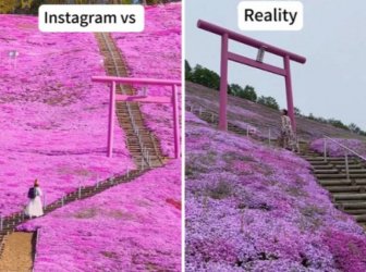Social Media Against Reality