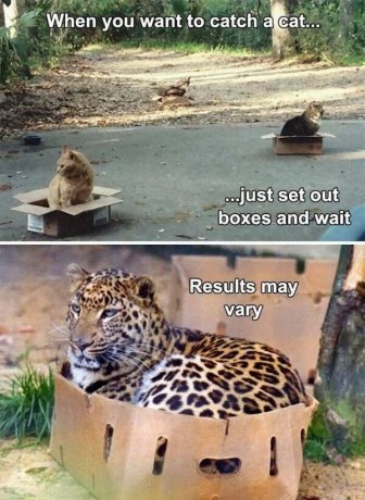 Memes For Animal Lovers