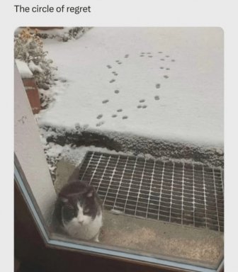 Jokes And Photos For Cat Lovers