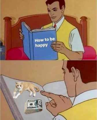 Jokes And Photos For Cats Lovers