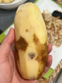 Weird Finds And Situations