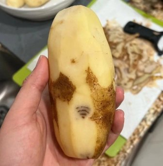 Weird Finds And Situations