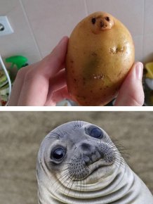 Unexpected Coincidences