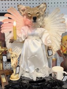 What Is Going On Here?