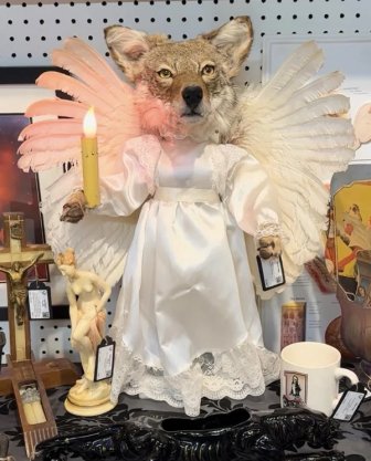 What Is Going On Here?