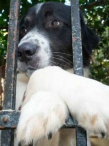 Positive Photos For A Good Mood