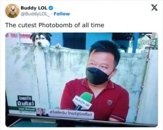 Funny Photobombs