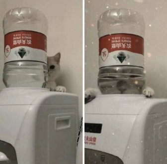 What Is Going On Here?