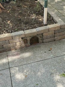 Easter Eggs In Real Life