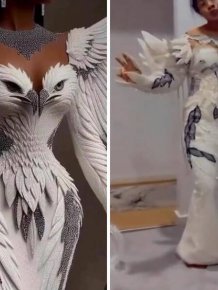 Expectations Against Reality