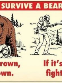 Useful Survival Tips