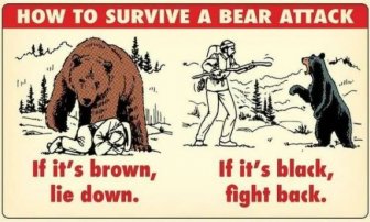 Useful Survival Tips