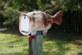 Unusual Mailboxes