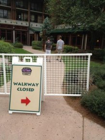 Odd Finds And Situations