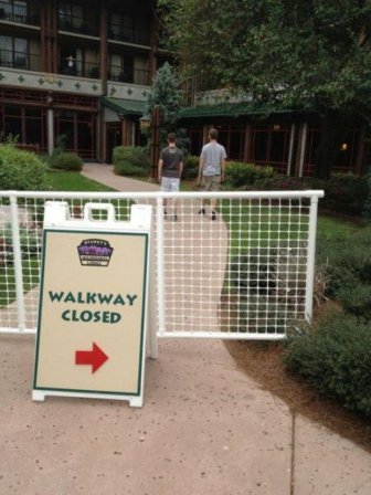 Odd Finds And Situations