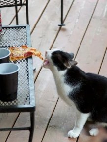 Cheeky But Sweet Thieves