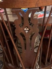 They Are Trying To Hide