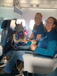 What Is Going On Here?