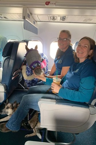 What Is Going On Here?