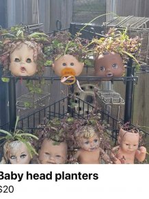 Strange Designs And Finds