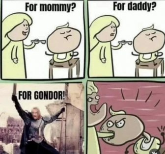 Memes For ''The Lord Of The Rings'' Fans