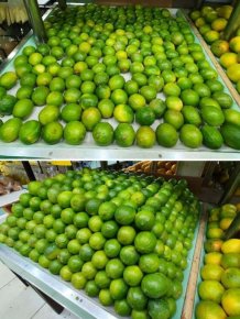 A Pleasure For The Eyes