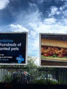 Hilarious Photos From Around The World