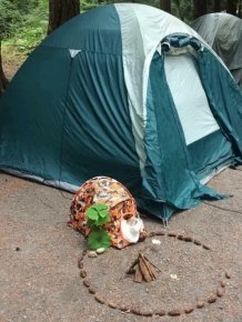 Strange Finds And Situations